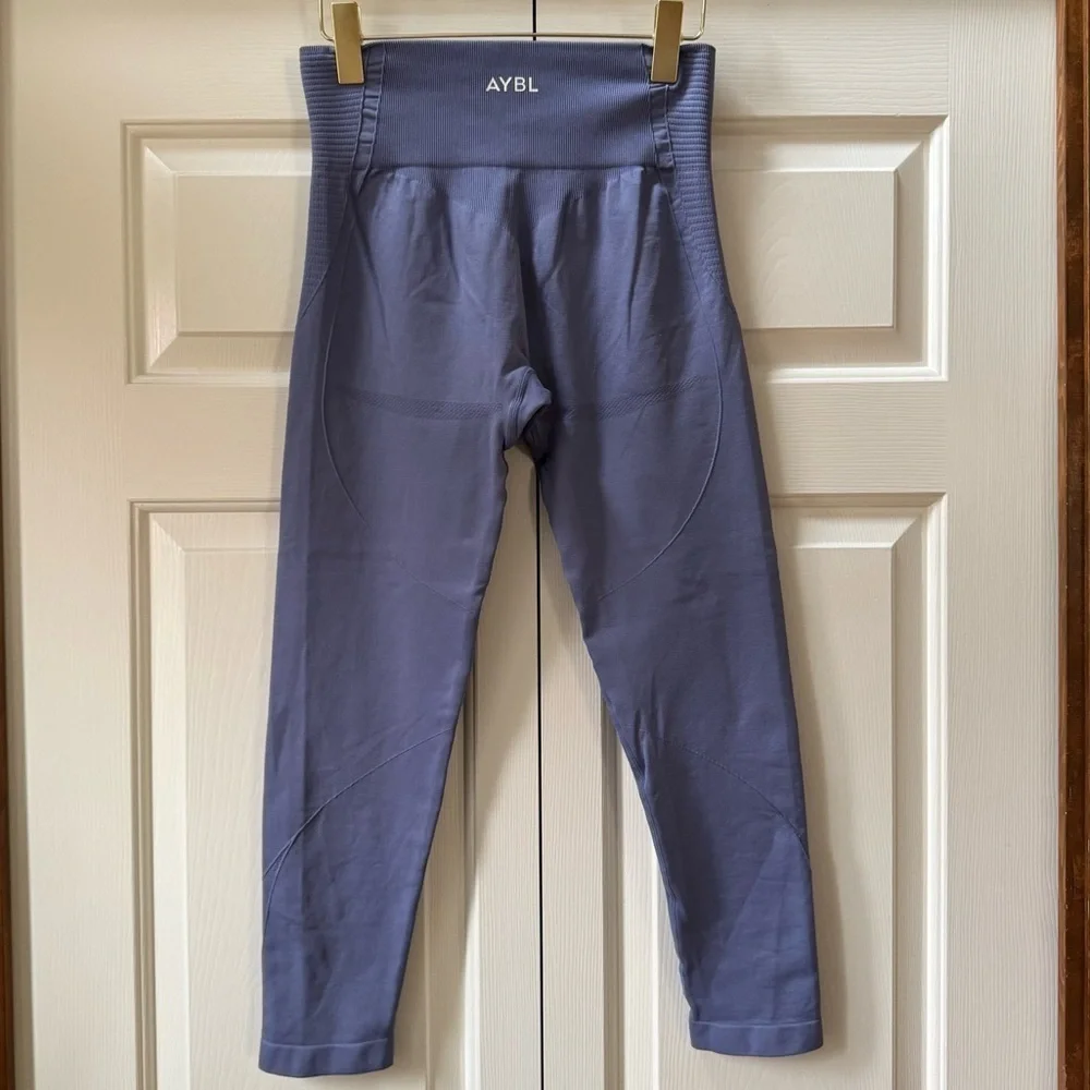 AYBL Balance V3 Seamless Leggings Mauve Women’s size large